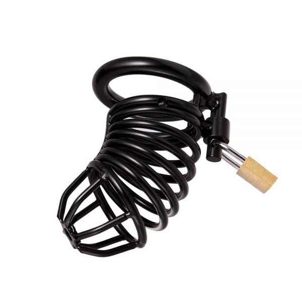 Cage de Chasteté Métal <br /> Spirale Orgasmique – Image 2