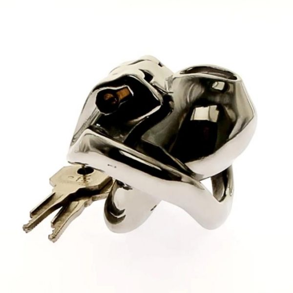 Cage de Chasteté Homme - Métal - Master Silver – Image 2