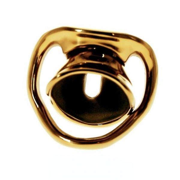Cage de Chasteté Homme - Métal - Master Gold – Image 3
