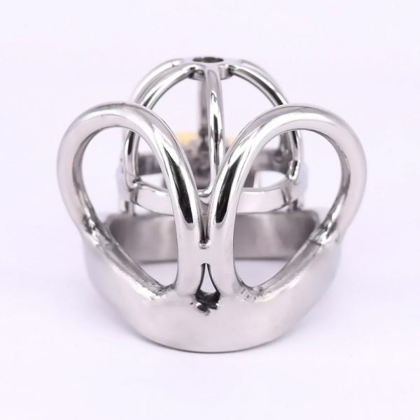 Cage de Chasteté Métal - BirdLock S – Image 3