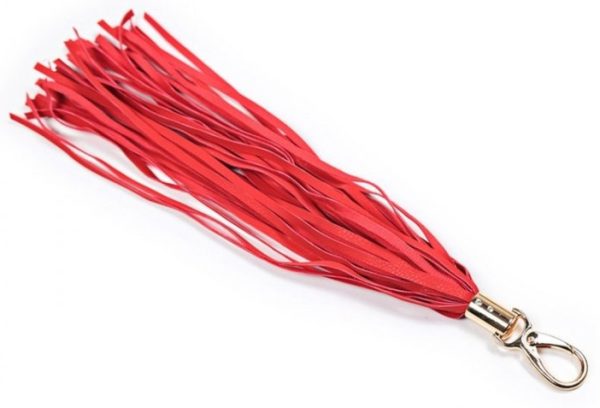 Coffret BDSM 8 Pièces Fantasm Rouge – Image 3