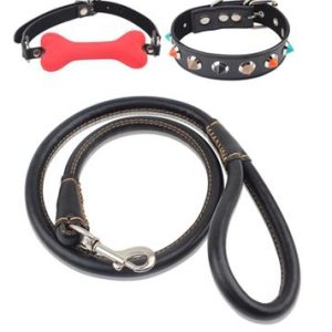 Kit Dog Training Laisse Collier et Baillon Os