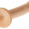 Gode Punky Champs 12 x 2.5cm – Image 7