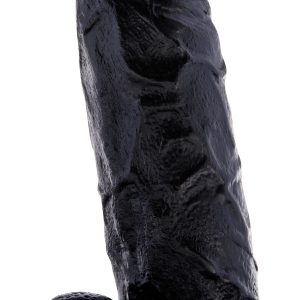 Gode réaliste Prince Of Namibia 15 x 5 cm
