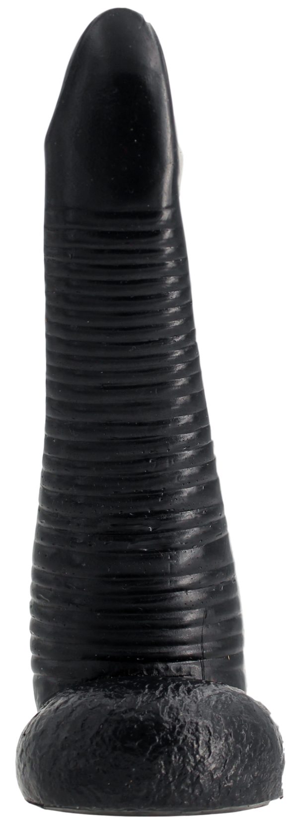 NAUTILA 19 x 5.8 cm – Image 5