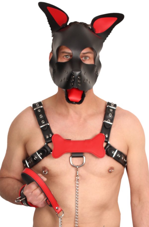 PUPPY OS  EN CUIR ROUGE