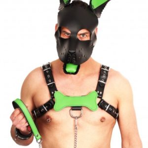 PUPPY OS  EN CUIR VERT
