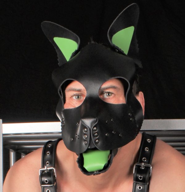 PUPPY SET OREILLES ET LANGUE EN CUIR VERT – Image 2