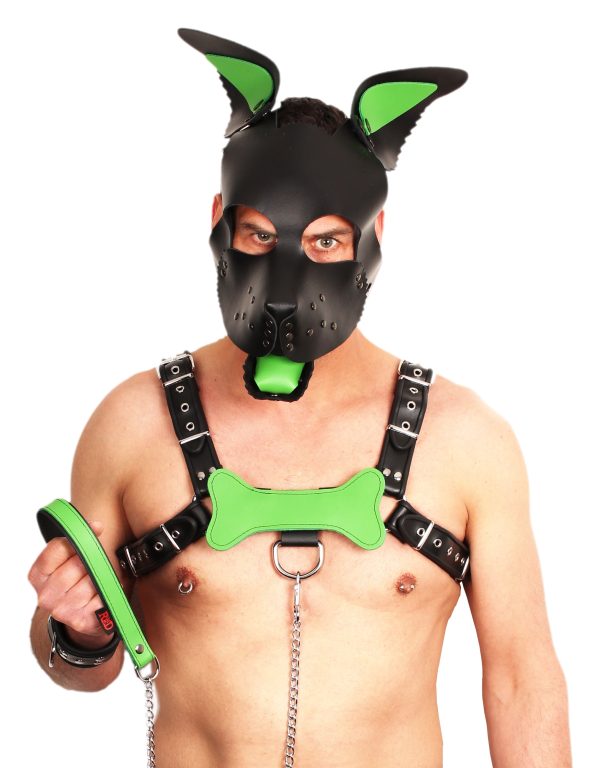 PUPPY SET OREILLES ET LANGUE EN CUIR VERT – Image 3