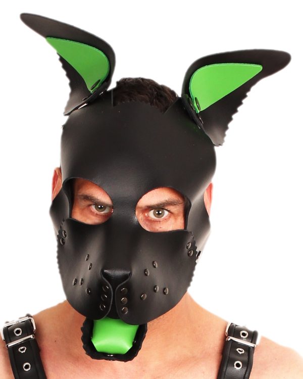 PUPPY SET OREILLES ET LANGUE EN CUIR VERT – Image 5