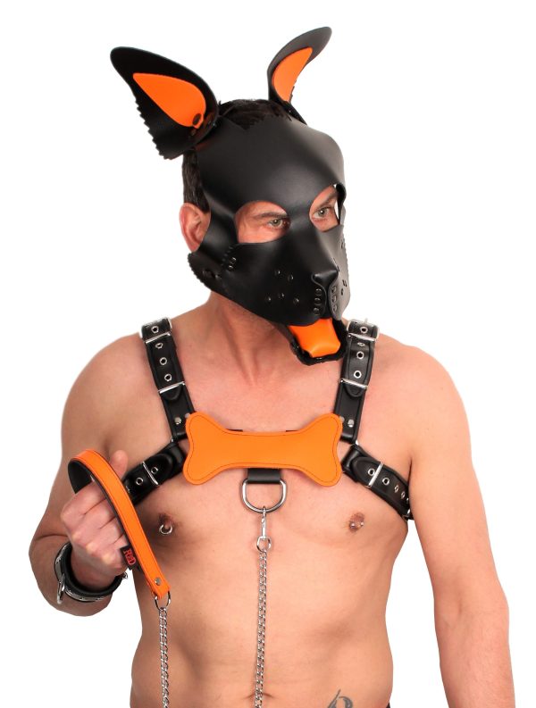 PUPPY SET OREILLES ET LANGUE EN CUIR ORANGE – Image 3