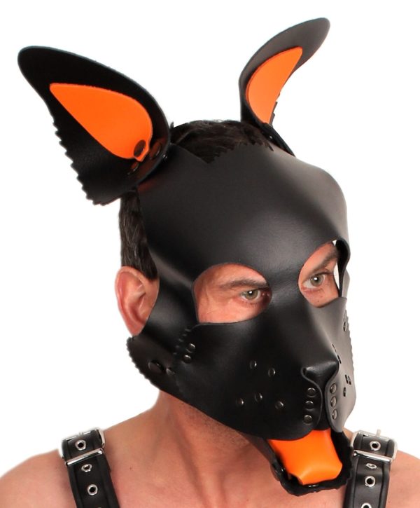 PUPPY SET OREILLES ET LANGUE EN CUIR ORANGE – Image 5