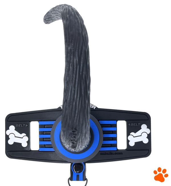 Queue de chien Oxballs Tail Handler Bleue – Image 3