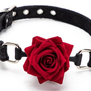 Baillon Boule avec Rose Bud Gag Noir