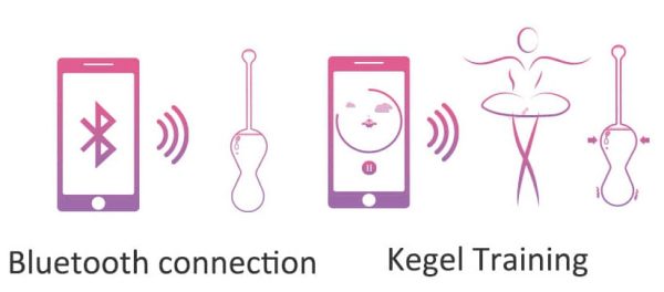 Boules de geisha connectées Kegel Master 8 x 3.4 cm – Image 3