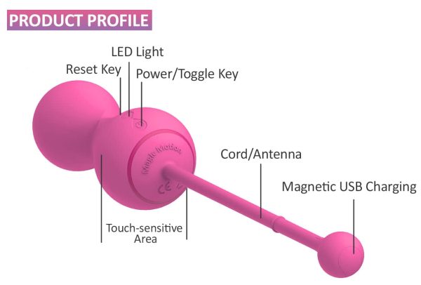Boules de geisha connectées Kegel Master 8 x 3.4 cm – Image 9