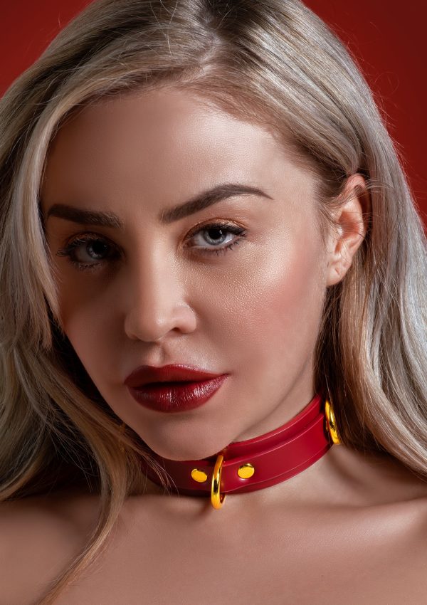 Collier D-Ring Taboom Rouge – Image 3