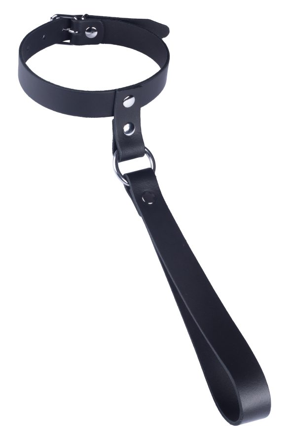 Collier en cuir avec Laisse courte – Image 2
