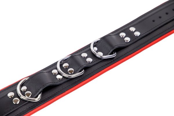 Collier en cuir rembourré avec 3 anneaux D Rouge – Image 3