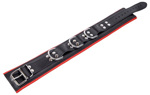 Collier en cuir rembourré avec 3 anneaux D Rouge – Image 4