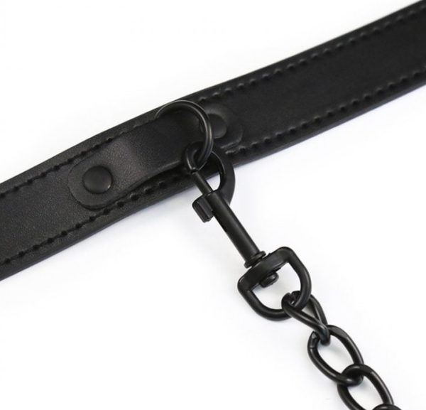 Collier et Laisse Ball Top Noir – Image 3