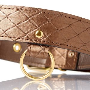 Collier et laisse Darling Pet Bronze 1m