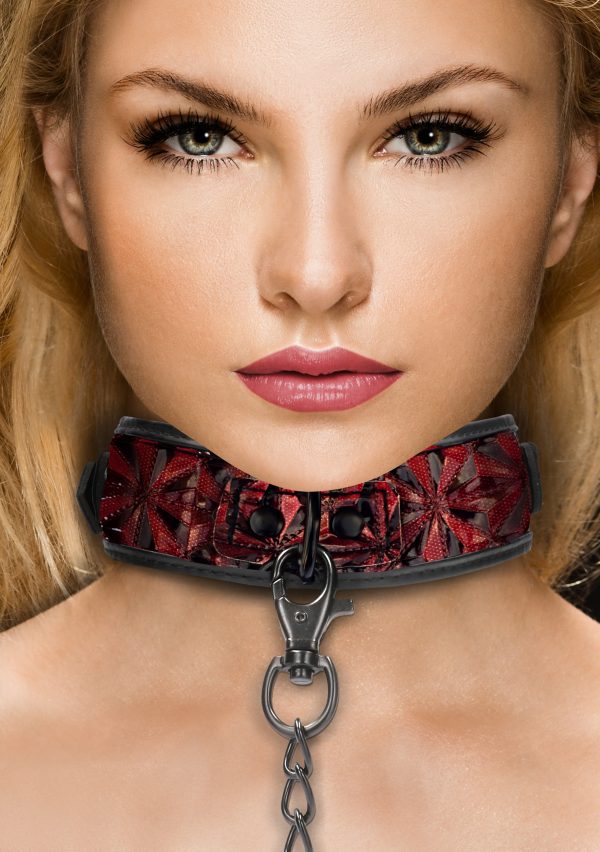 Collier et Laisse Luxury Rouge – Image 5