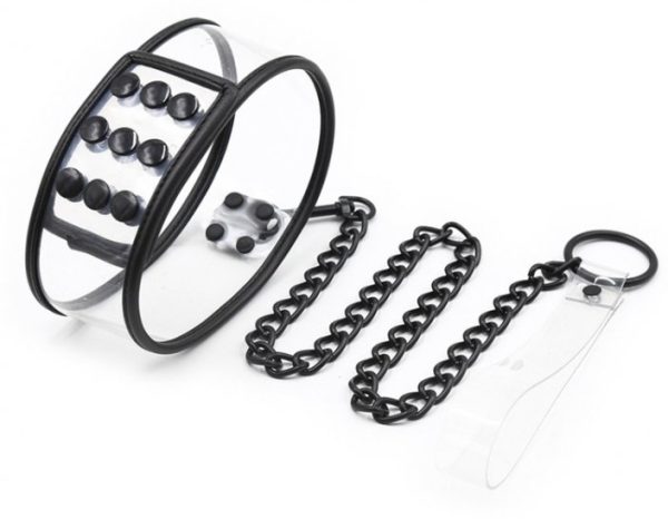Collier Laisse Aquax Transparent