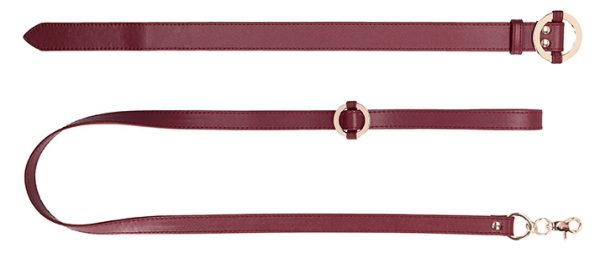 Collier-Laisse Halo Col Rouge – Image 3
