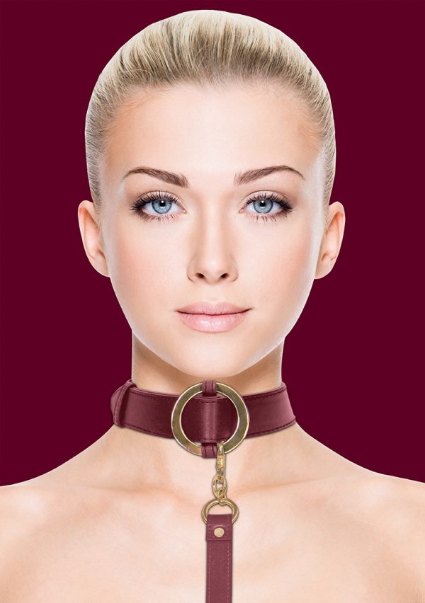 Collier-Laisse Halo Col Rouge – Image 5