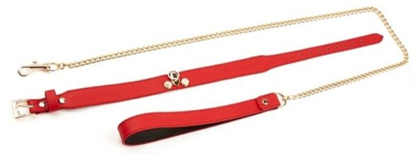 Collier-Laisse Master Me Rouge – Image 5