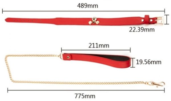 Collier-Laisse Master Me Rouge – Image 6