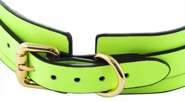 Collier-laisse phosphorescent Luminous Vert – Image 3