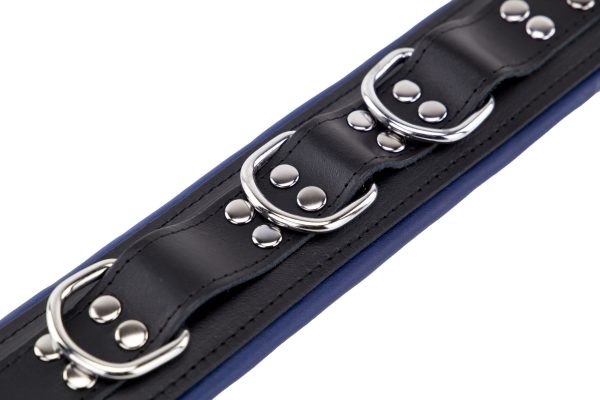 Collier rembourré en cuir 3 Anneaux D Bleu – Image 4