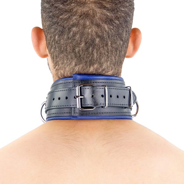 Collier rembourré en cuir 3 Anneaux D Bleu – Image 9