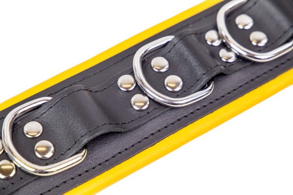 Collier rembourré en cuir 3 Anneaux D Jaune – Image 5