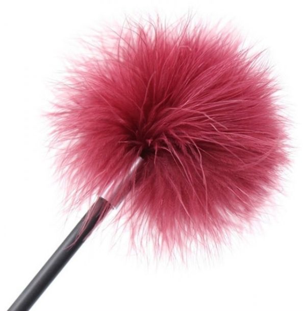 Cravache-Plumeau Victoria Pourpre 43cm – Image 5