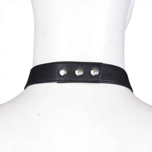 Ensemble Panties avec harnais Simili – Image 7