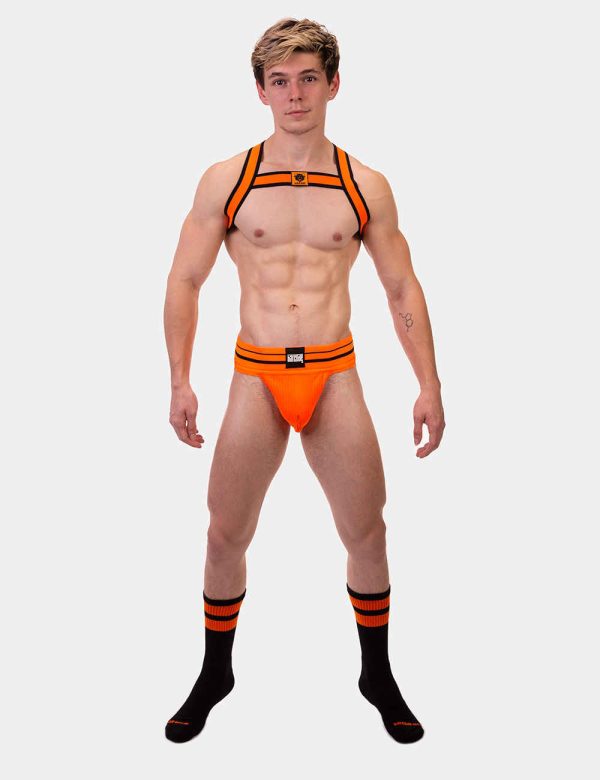Harnais élastique Colin Orange – Image 3