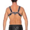 Harnais Chest Bulldog Noir-Bleu – Image 5