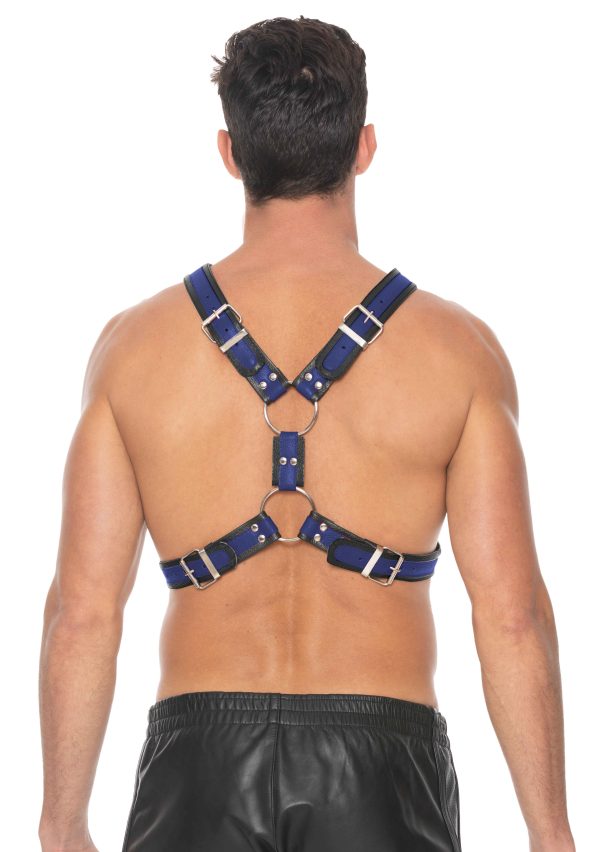 Harnais Scottish Noir-Bleu – Image 5