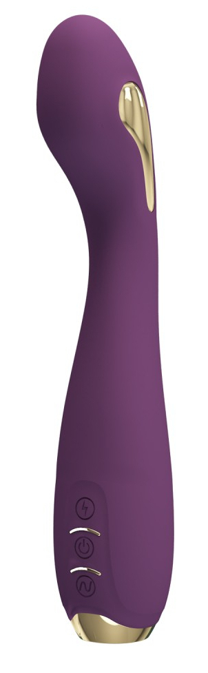 Vibro Point G Électro Connecté Hector 16 x 3.8cm Prune