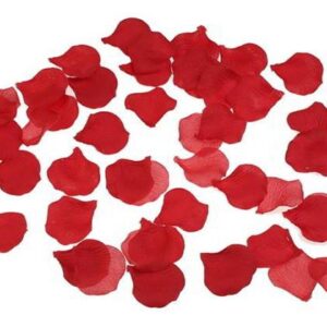Fausses Pétales de Fleur x100 Rouge