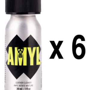 AMYL Pocket 24ml x6