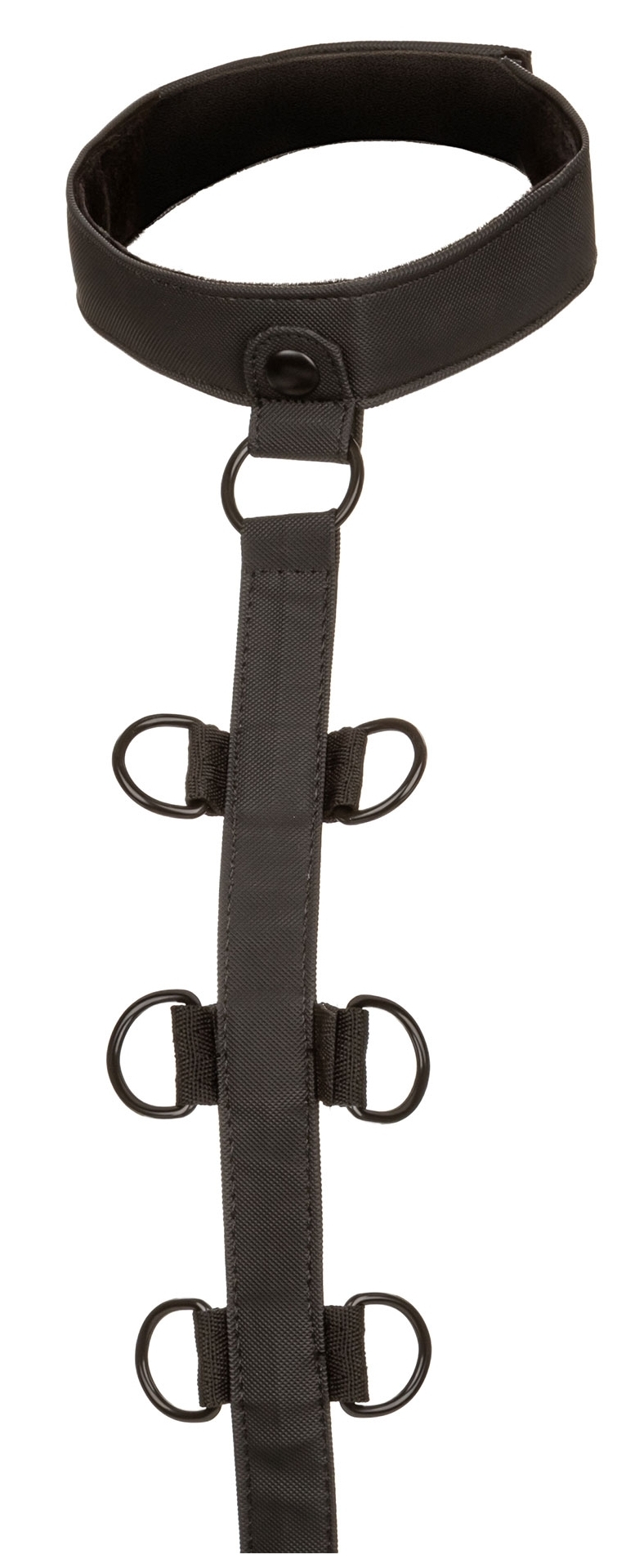 Attaches Sm Collar Body Restraint Boundless – Image 4