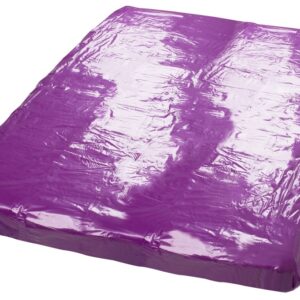 Bâche en Vinyle Lack 200 x 230 cm Violette