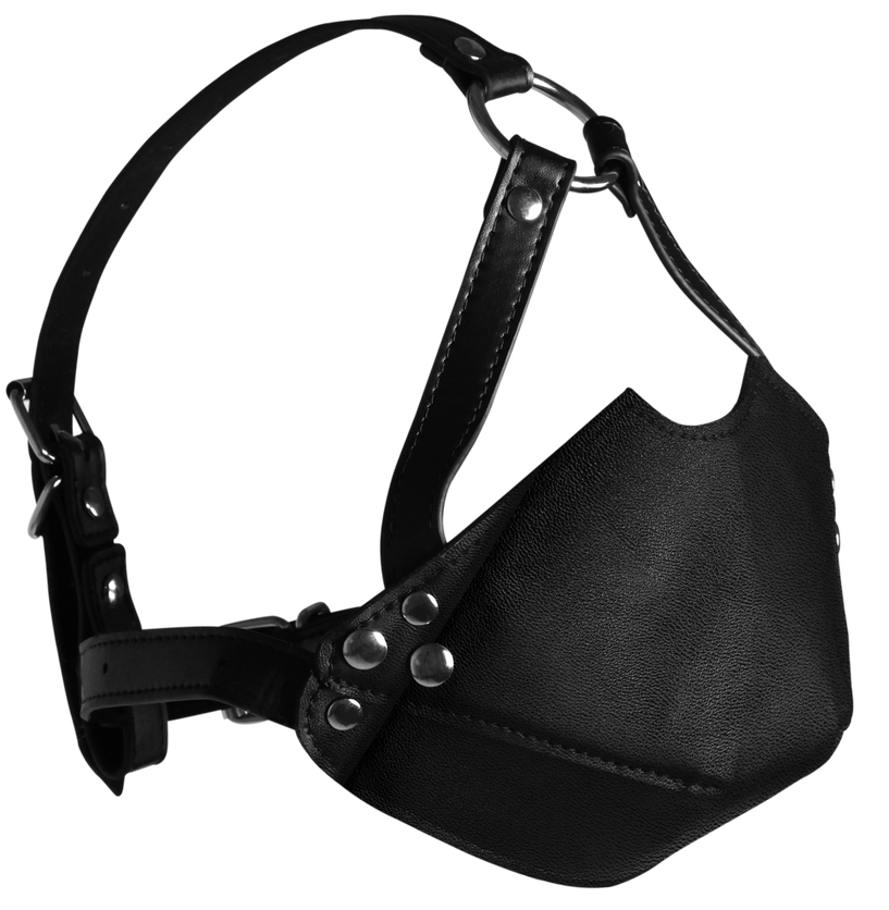 Bâillon avec Boule et Muselière Gag Noir – Image 2