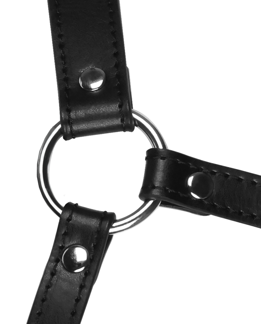 Bâillon avec Boule et Muselière Gag Noir – Image 9