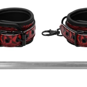 Barre de maintien pour Chevilles 40cm