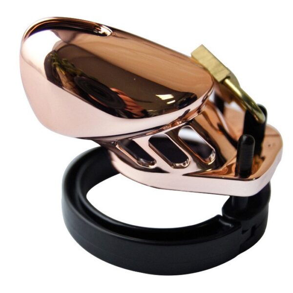 Cage de chasteté Couleur Bronze – Image 2